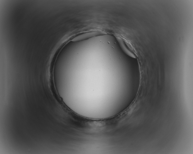 X0000089340102200706291009