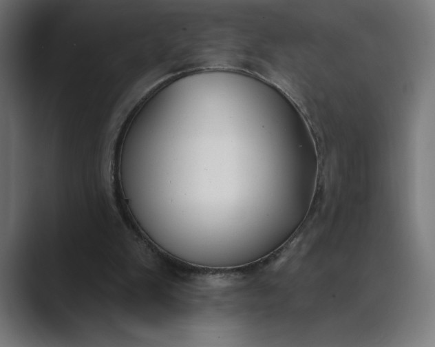 X0000089340103200706291009