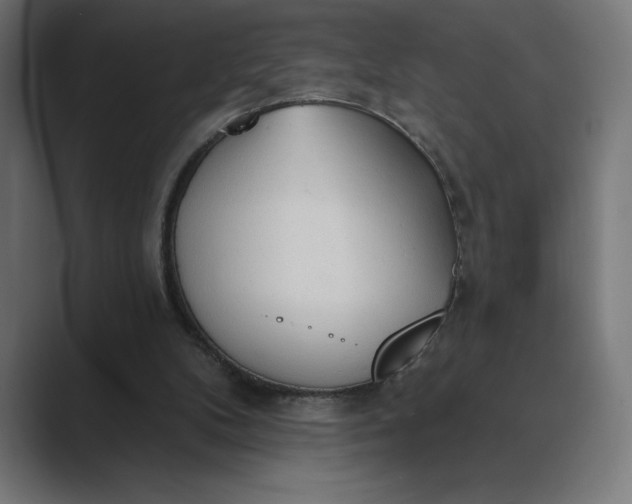 X0000089340104200706291009
