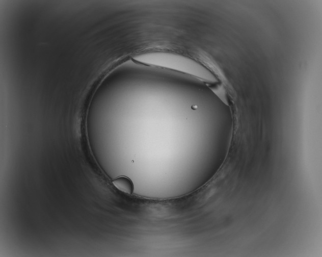 X0000089340106200706291009
