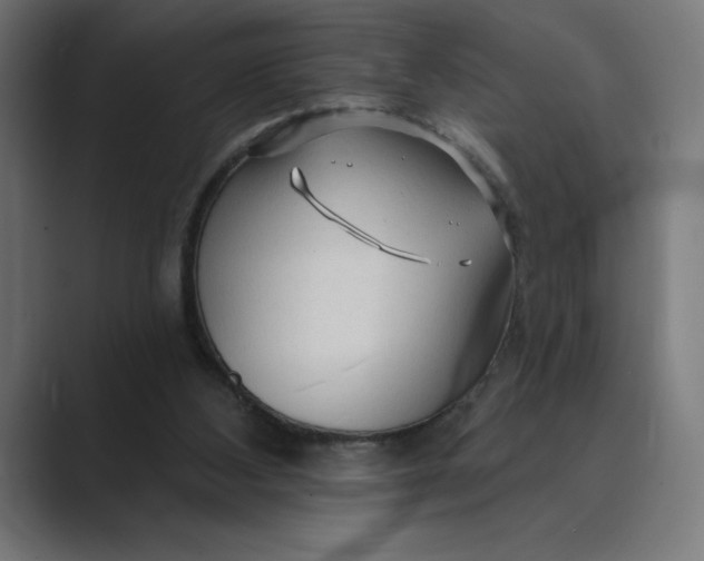 X0000089340108200706291009