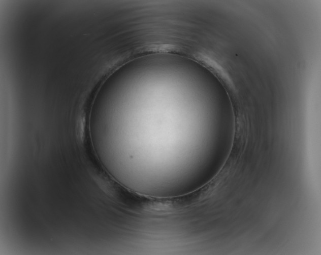X0000089340110200706291009