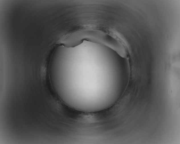 X0000089340113200706291009