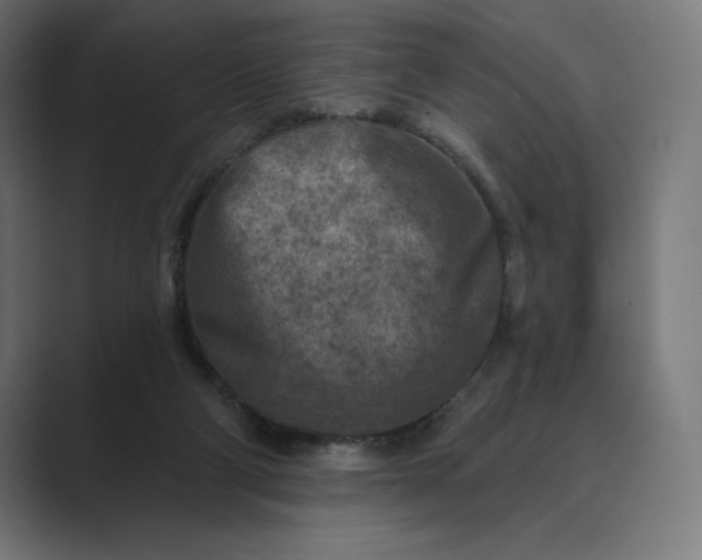 X0000089340114200706291009