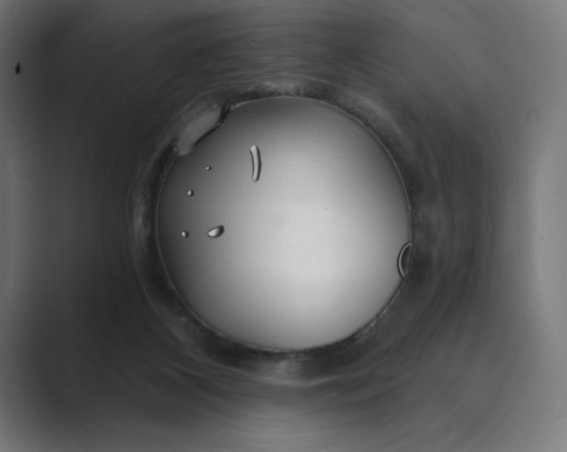X0000089340116200706291009