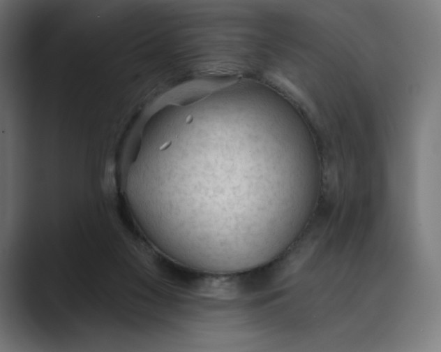 X0000089340117200706291009