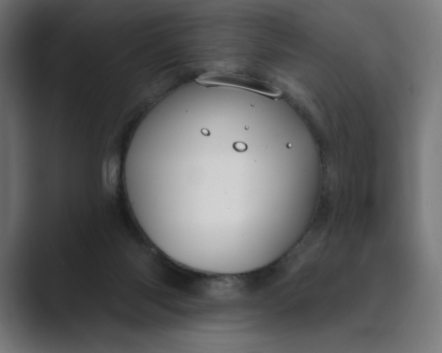 X0000089340118200706291009