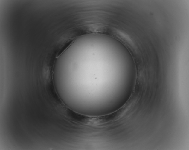 X0000089340121200706291009
