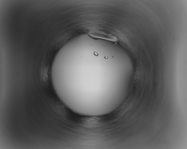 X0000089340122200706291009