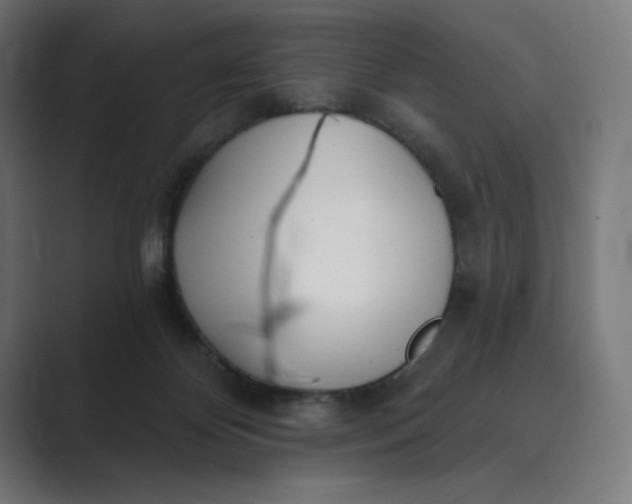 X0000089340124200706291009