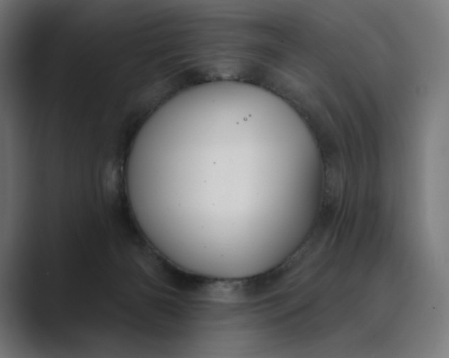 X0000089340126200706291009