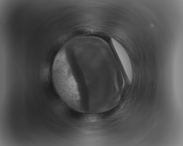 X0000089340127200706291009