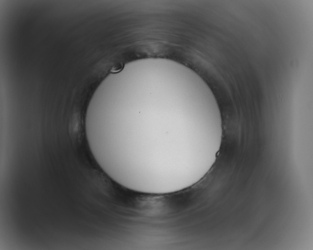 X0000089340132200706291009