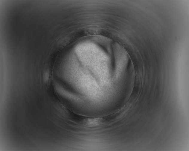 X0000089340134200706291009