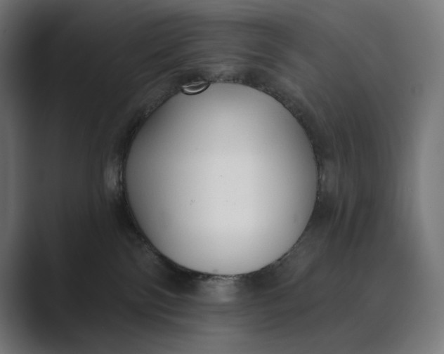 X0000089340138200706291009