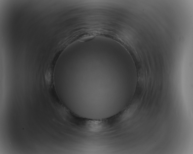 X0000089340139200706291009