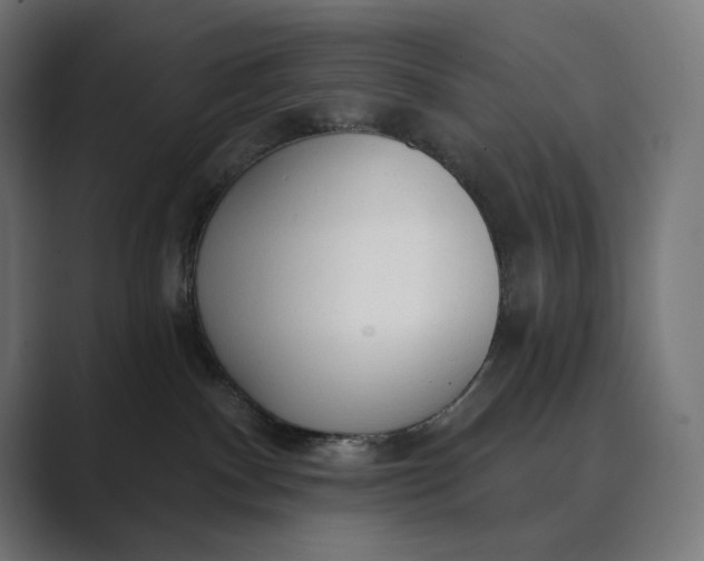 X0000089340140200706291009