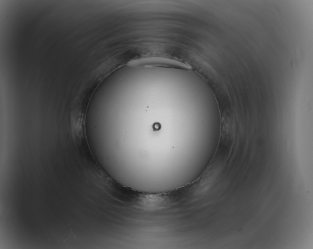 X0000089340141200706291009