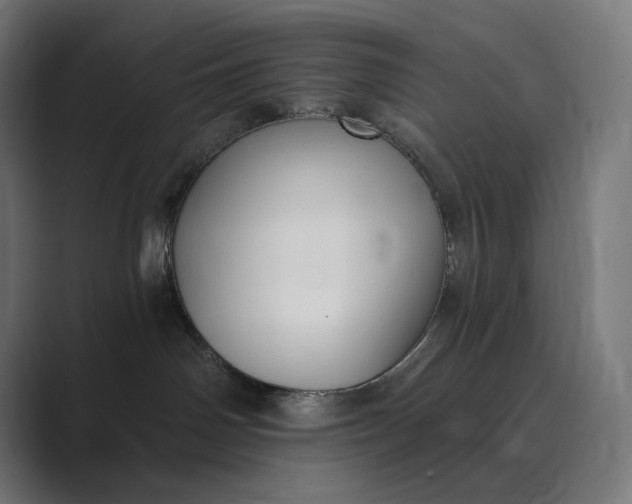 X0000089340142200706291009