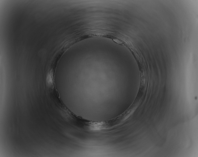 X0000089340143200706291009