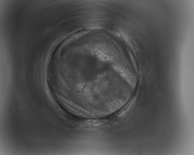 X0000089340145200706291008