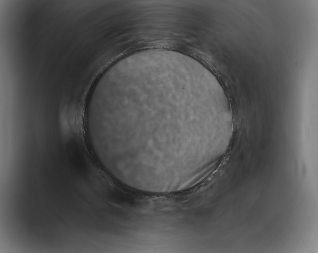X0000089340146200706291008