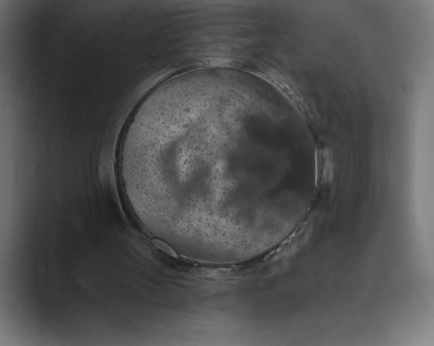 X0000089340147200706291008