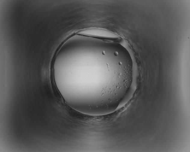 X0000089340148200706291008