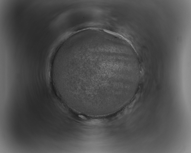 X0000089340149200706291008