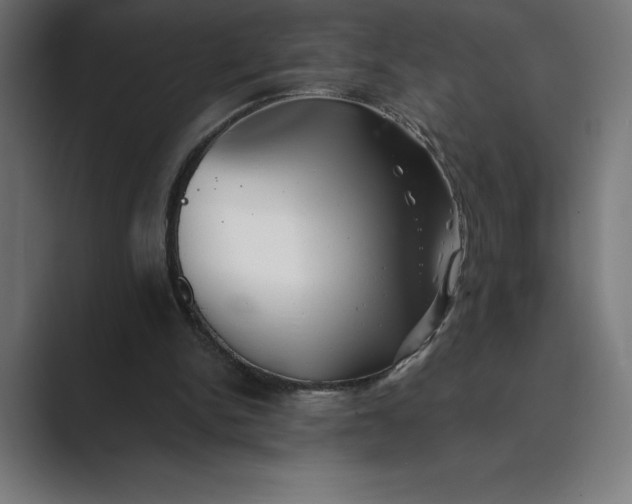 X0000089340150200706291008