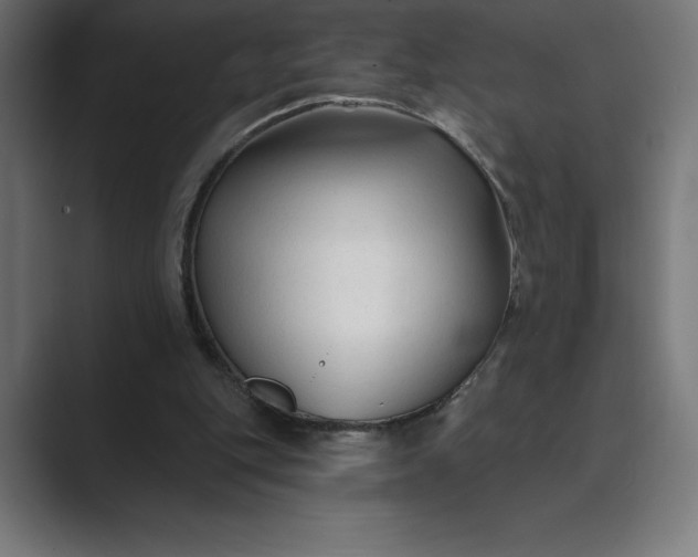 X0000089340151200706291008