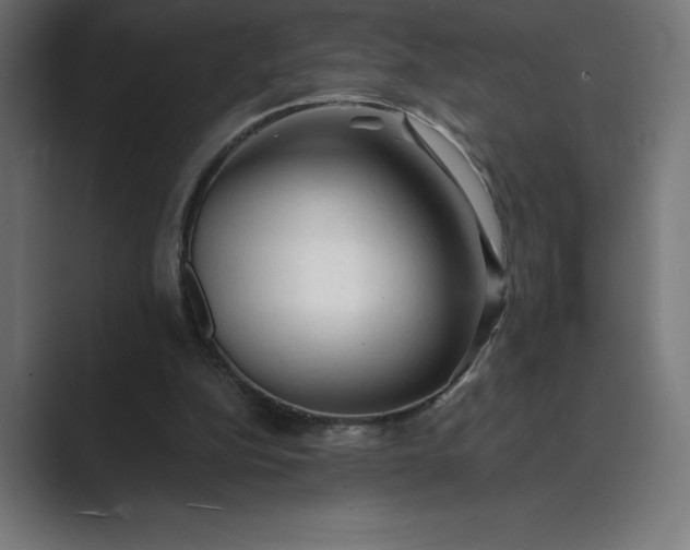 X0000089340152200706291008