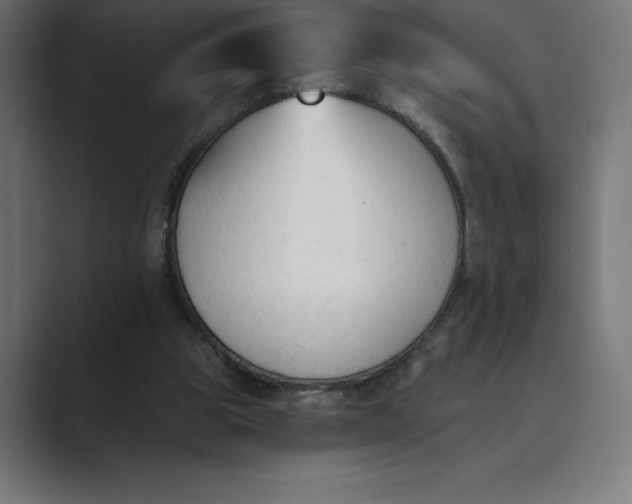 X0000089340153200706291008