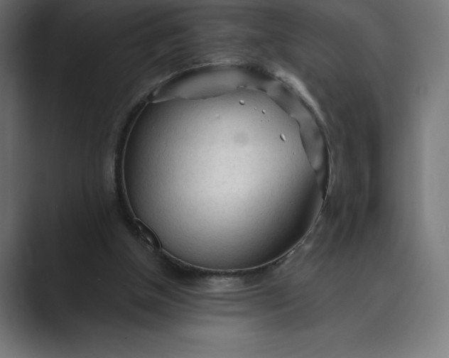X0000089340154200706291008