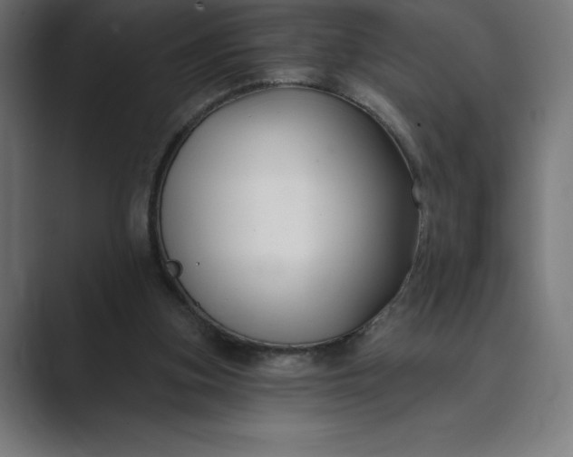 X0000089340155200706291008