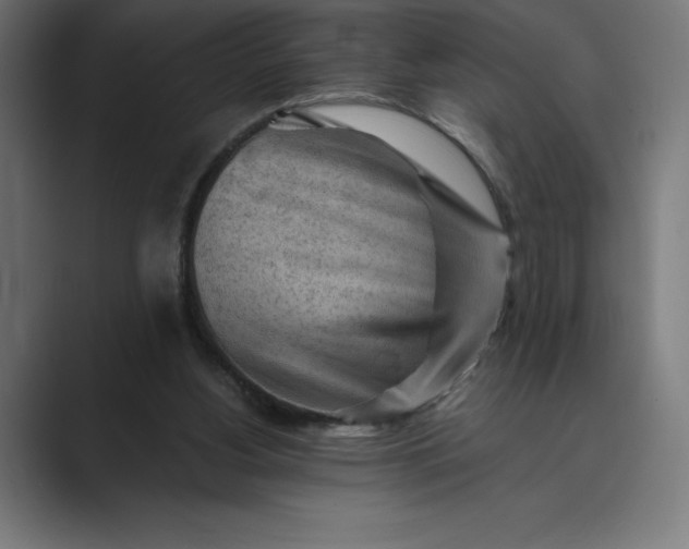 X0000089340156200706291008
