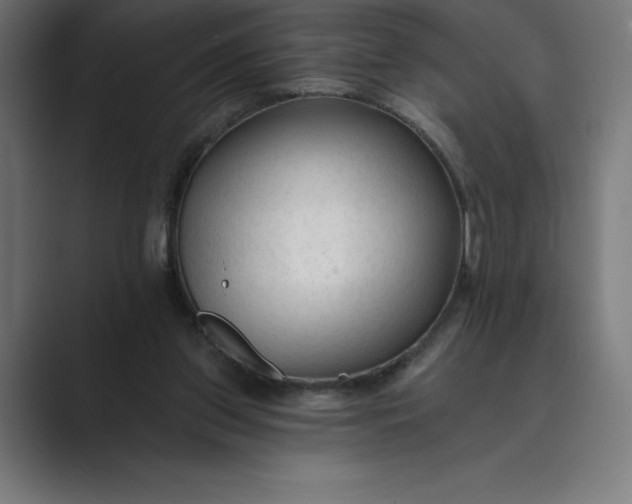 X0000089340157200706291008