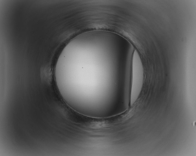 X0000089340160200706291008