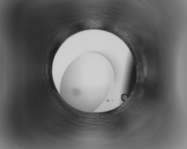 X0000089340162200706291008