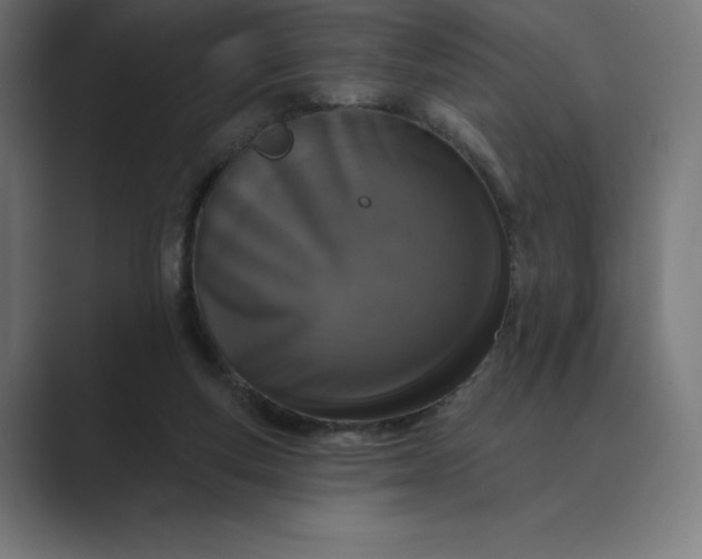 X0000089340163200706291008