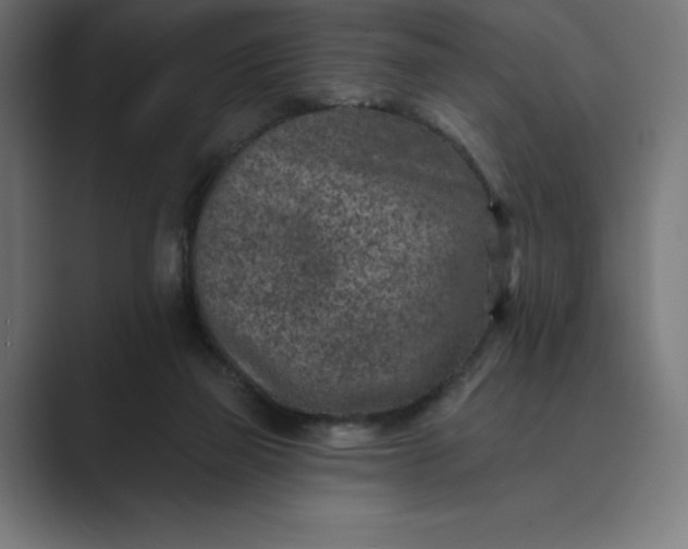 X0000089340165200706291008
