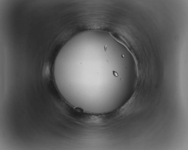 X0000089340166200706291008