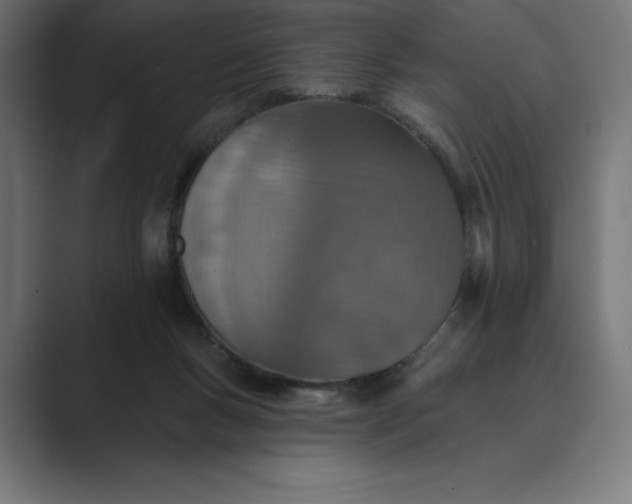 X0000089340167200706291008
