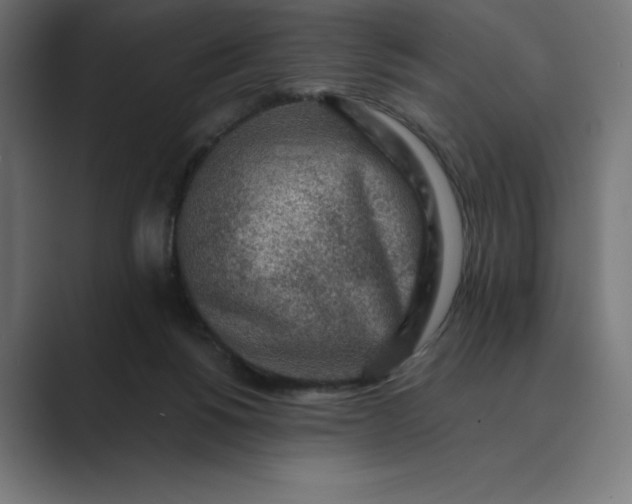 X0000089340168200706291008
