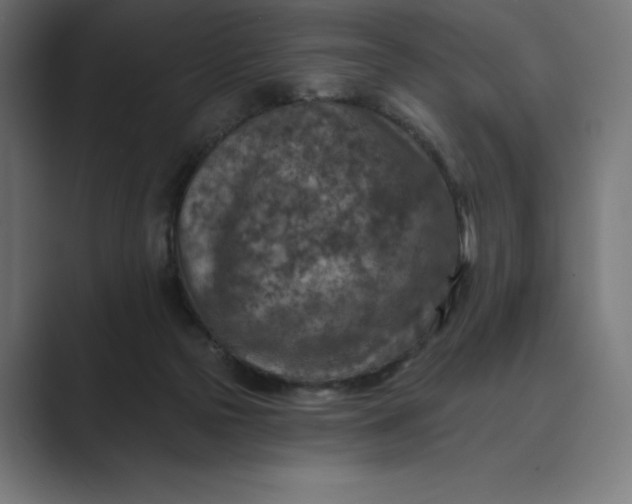X0000089340169200706291008