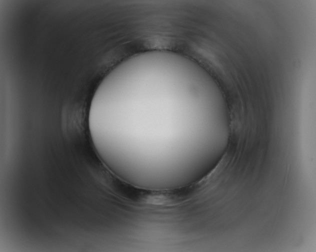 X0000089340171200706291008