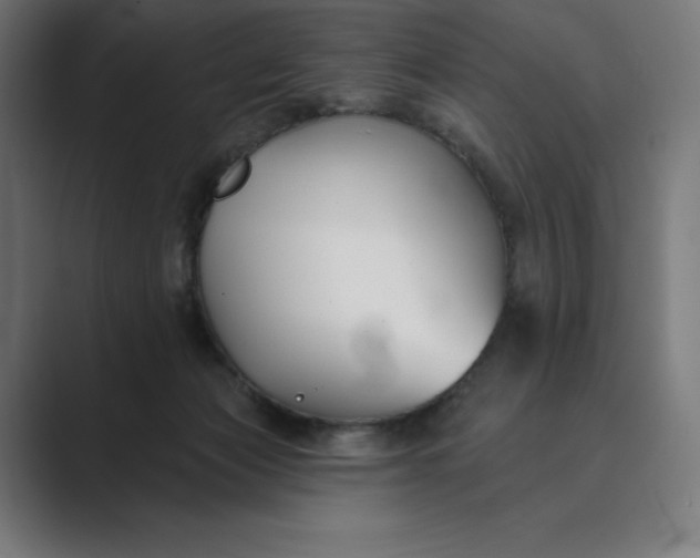 X0000089340173200706291008