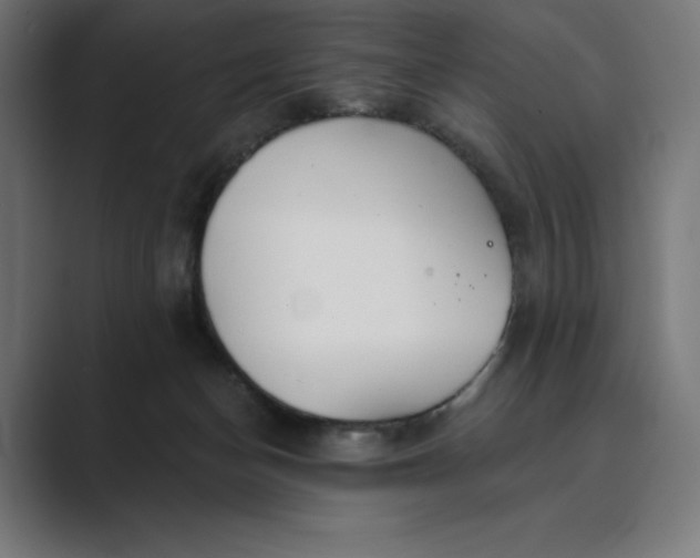 X0000089340174200706291008