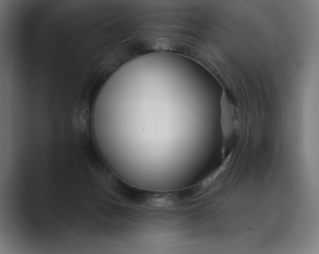 X0000089340175200706291008
