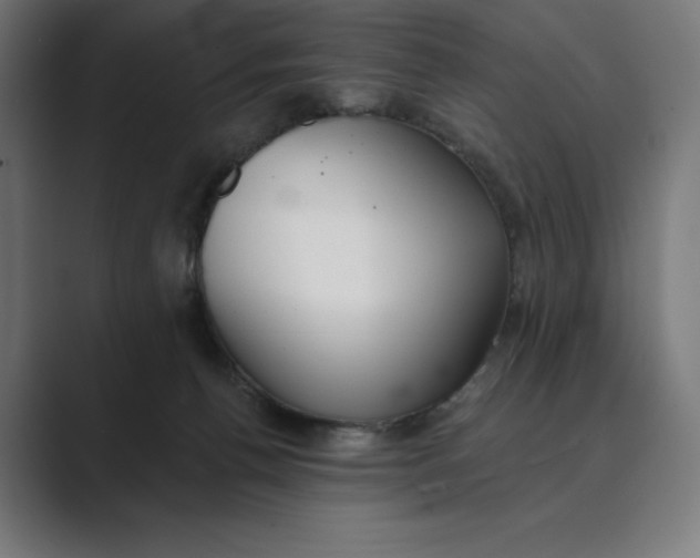 X0000089340176200706291008